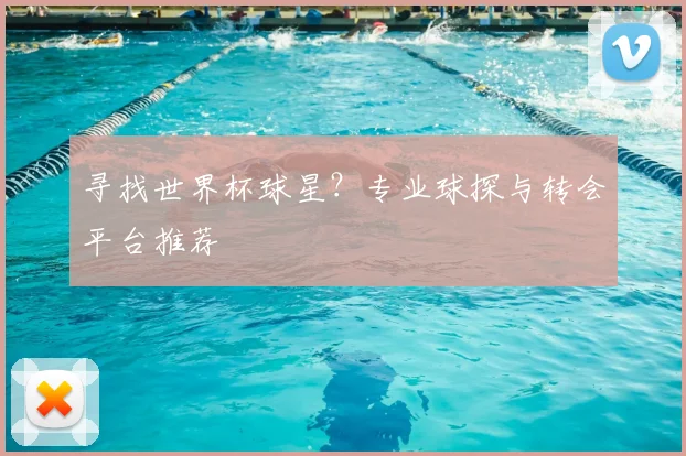 寻找世界杯球星？专业球探与转会平台推荐