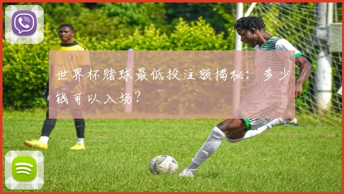 世界杯赌球最低投注额揭秘：多少钱可以入场？
