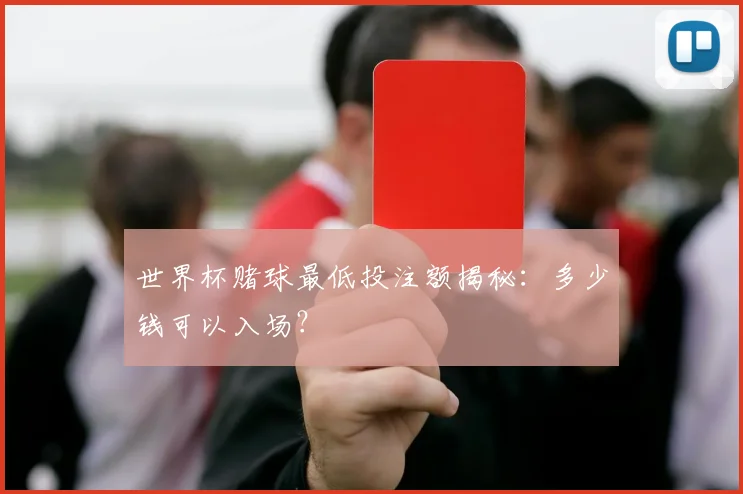 世界杯赌球最低投注额揭秘：多少钱可以入场？